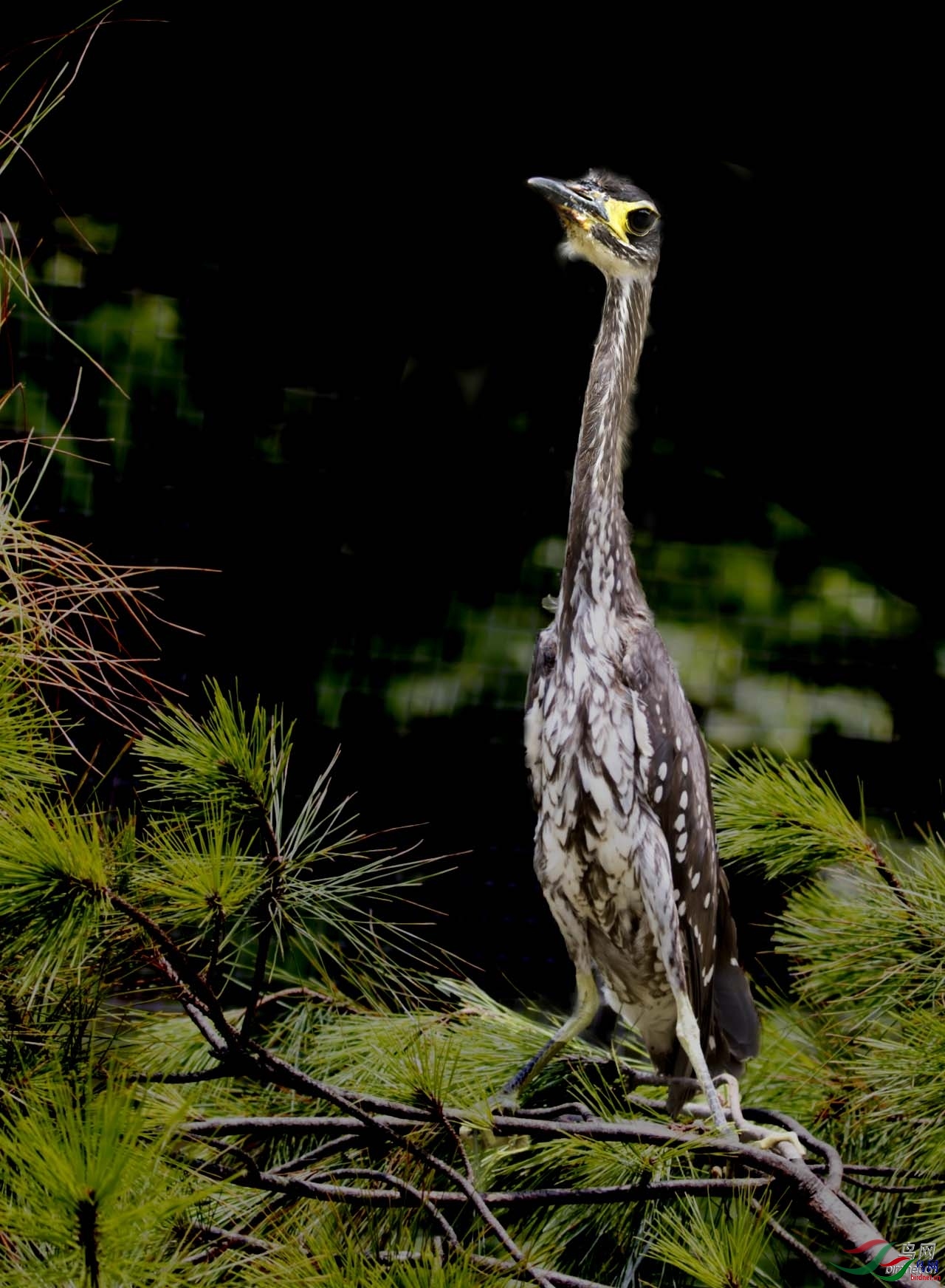 �����Ĵ��� ��ʦץ���ڸ����������Ϻ���.jpg