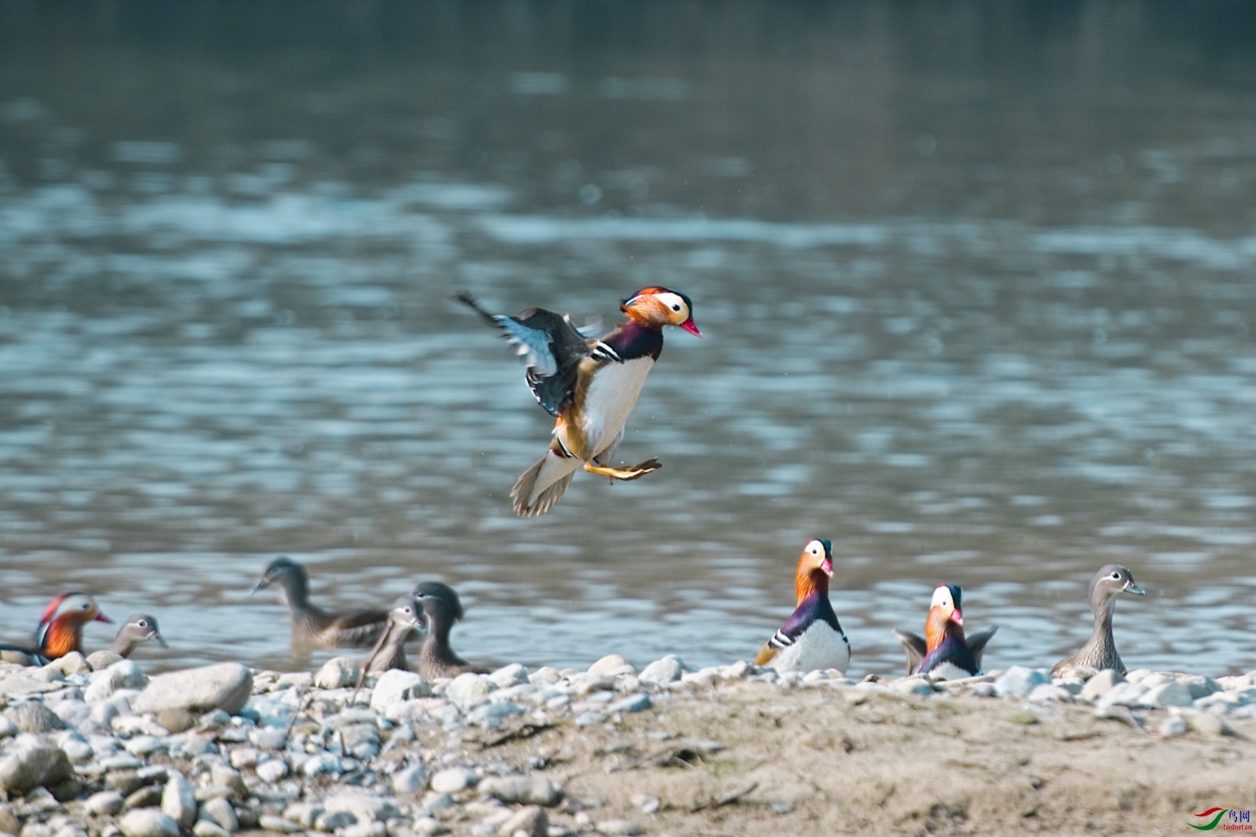 DSC_6879-Exposure (1)_����.jpg