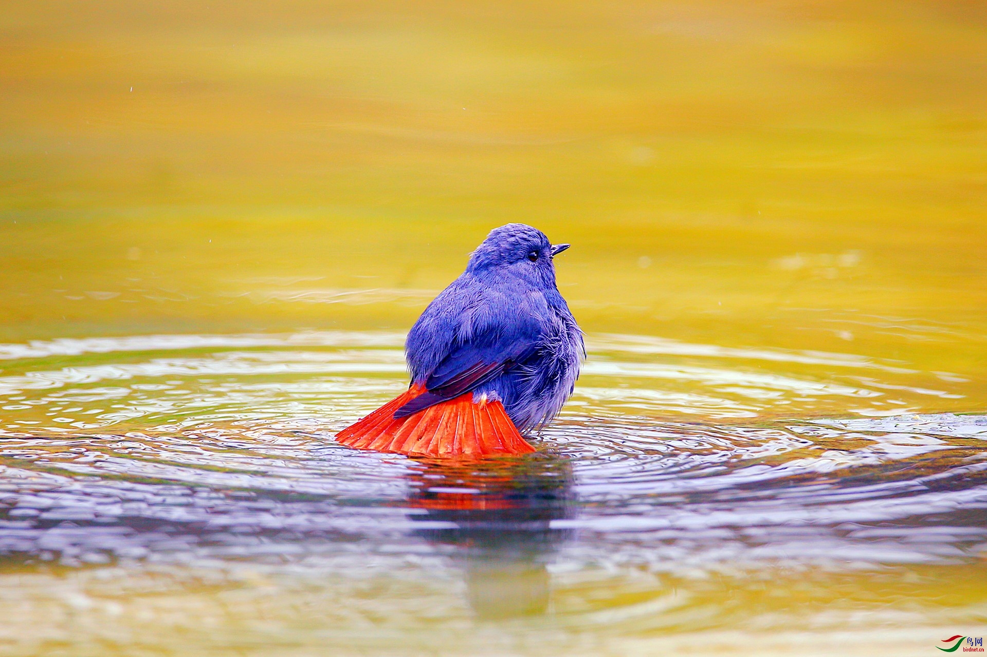 DB4W7056_����.jpg