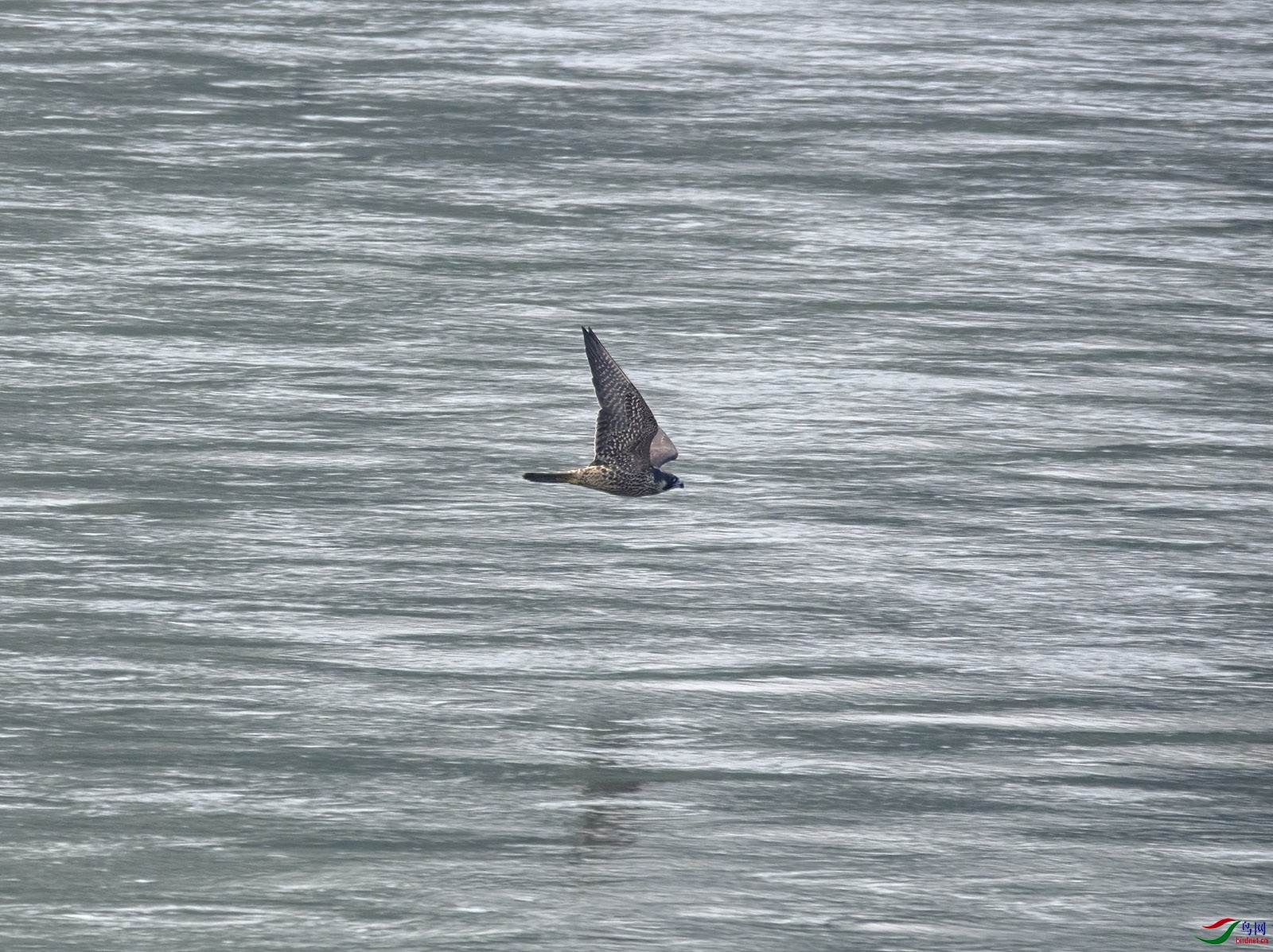 DSC_0120.jpg