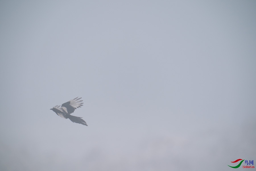 DSC00727.jpg