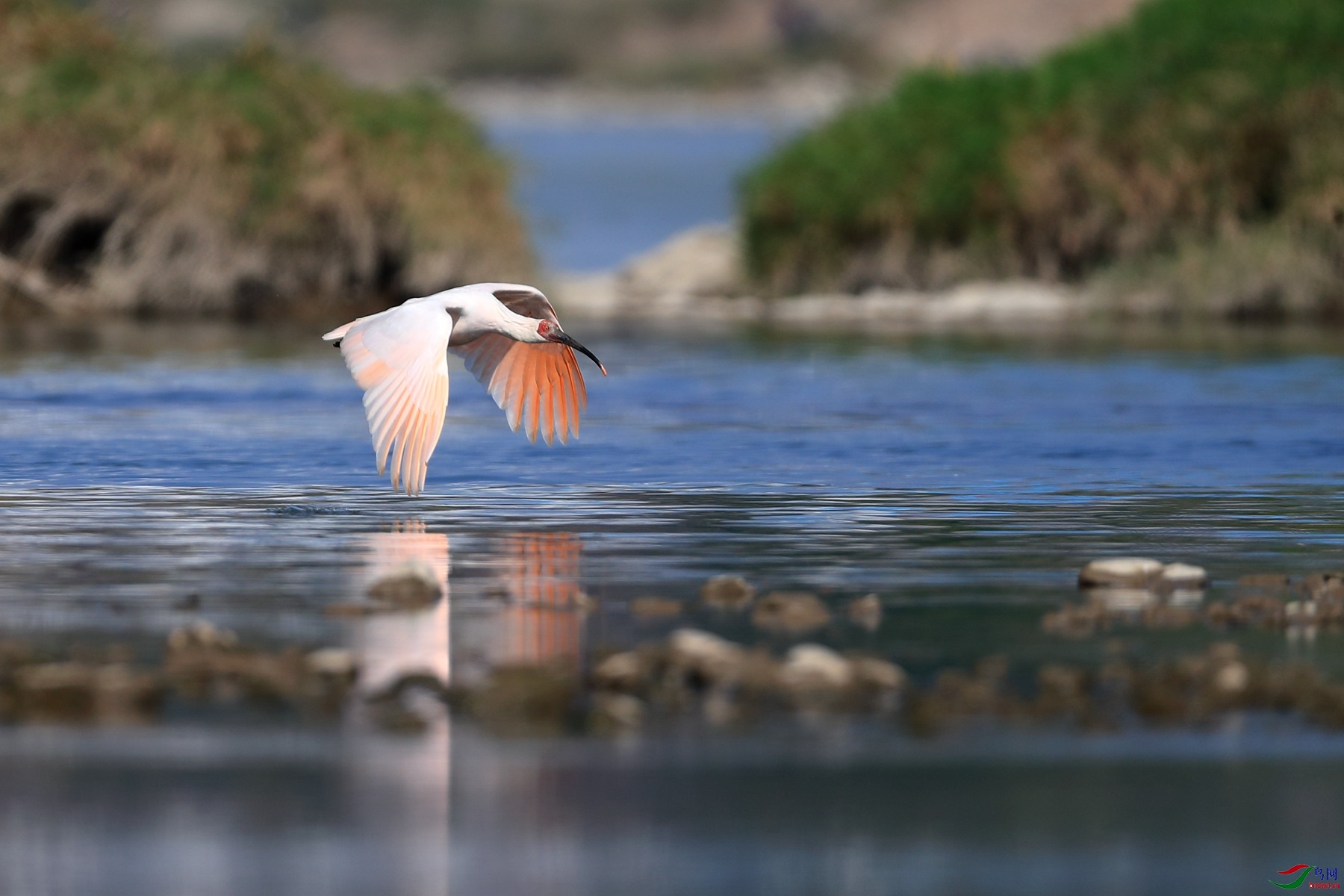 A74I2420_���� 1.jpg