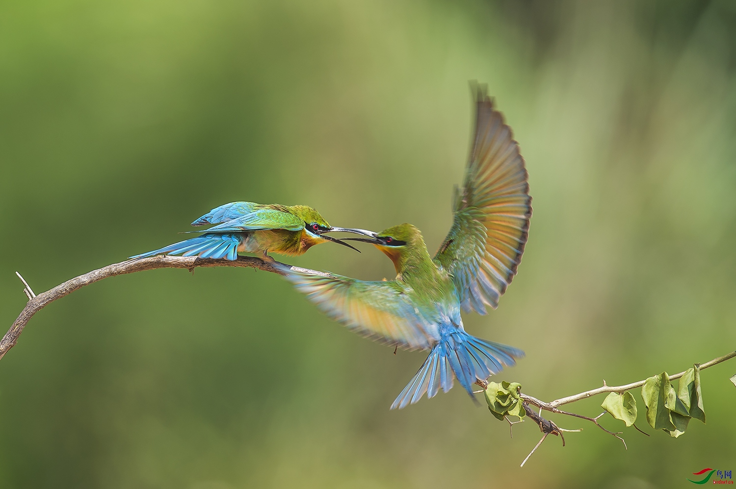 _DSC1375_��ͼ��.jpg