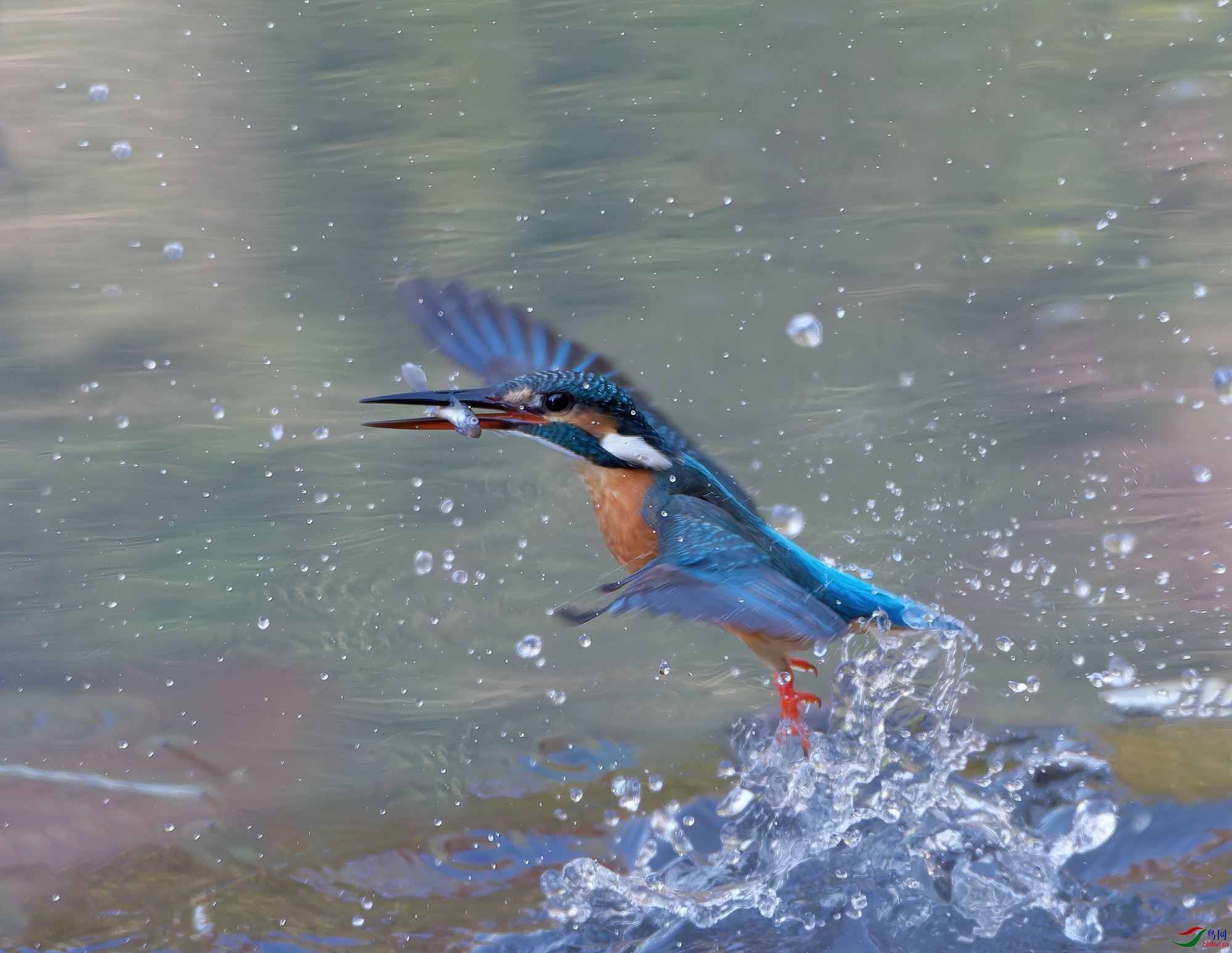 DSC_3071.jpg