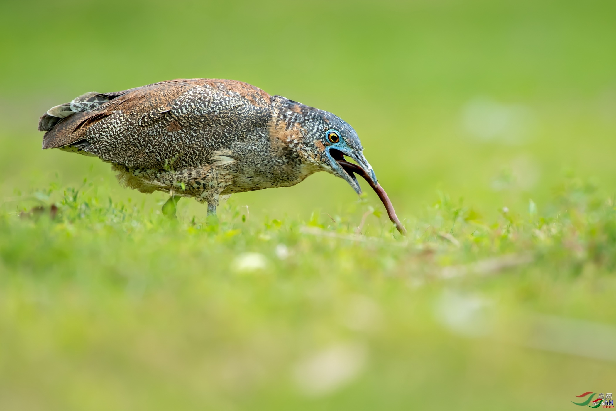 ����  ��ʦ�����ڸ���ʡ������.jpg