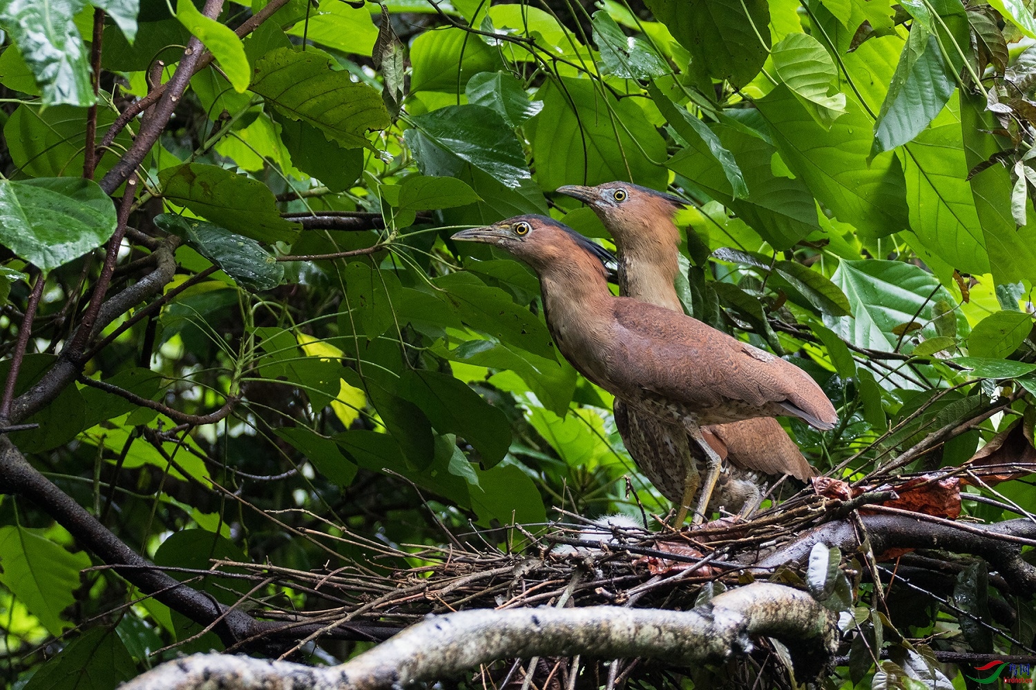 �����˼� ��ʦ����500.jpg