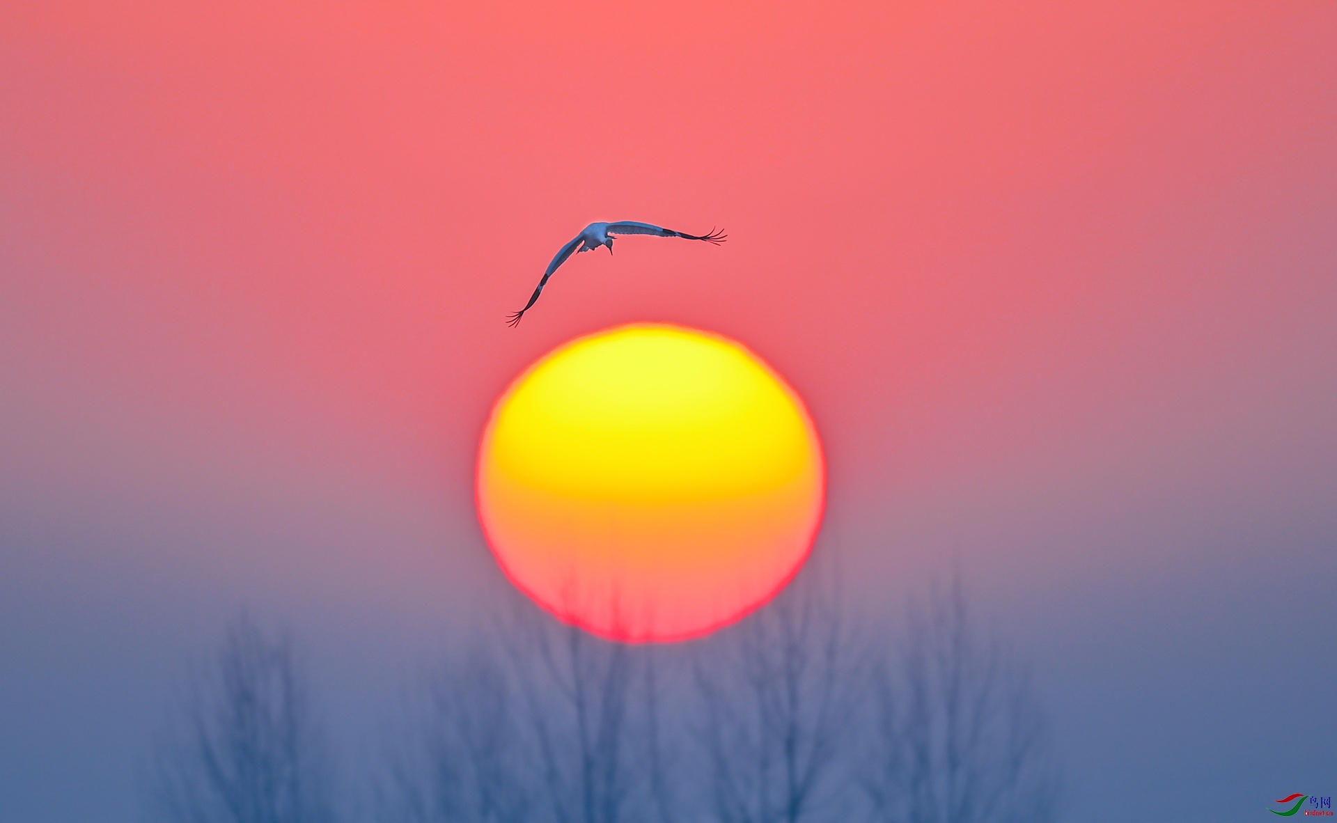 DSC_7497ľ��.jpg
