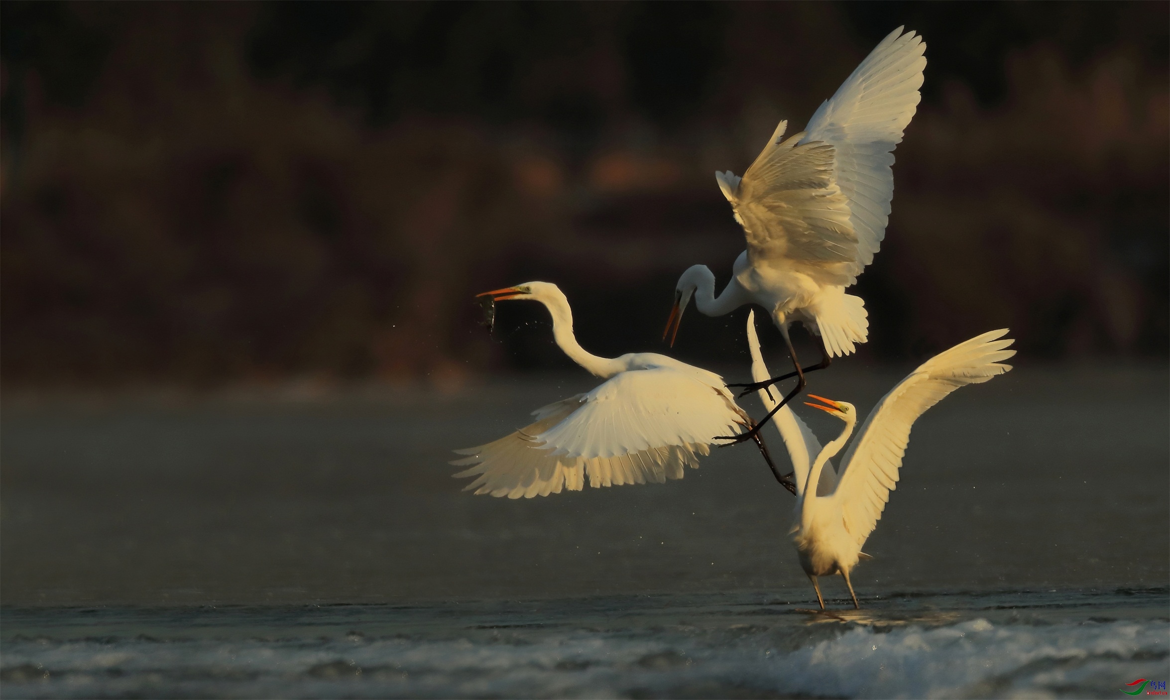 1222 - ����.jpg