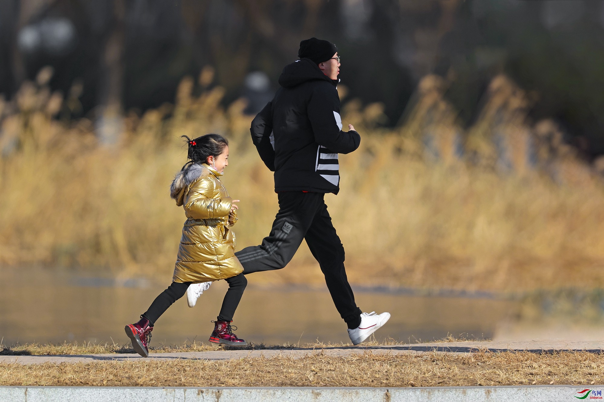 AH4I1413B-1_����.jpg