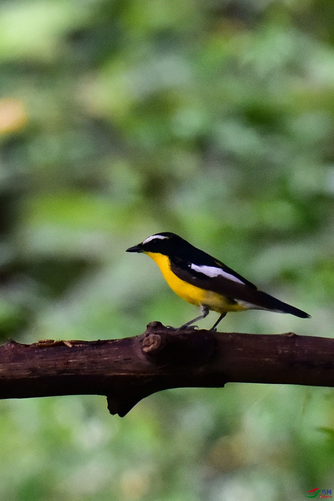 DSC_0309.JPG