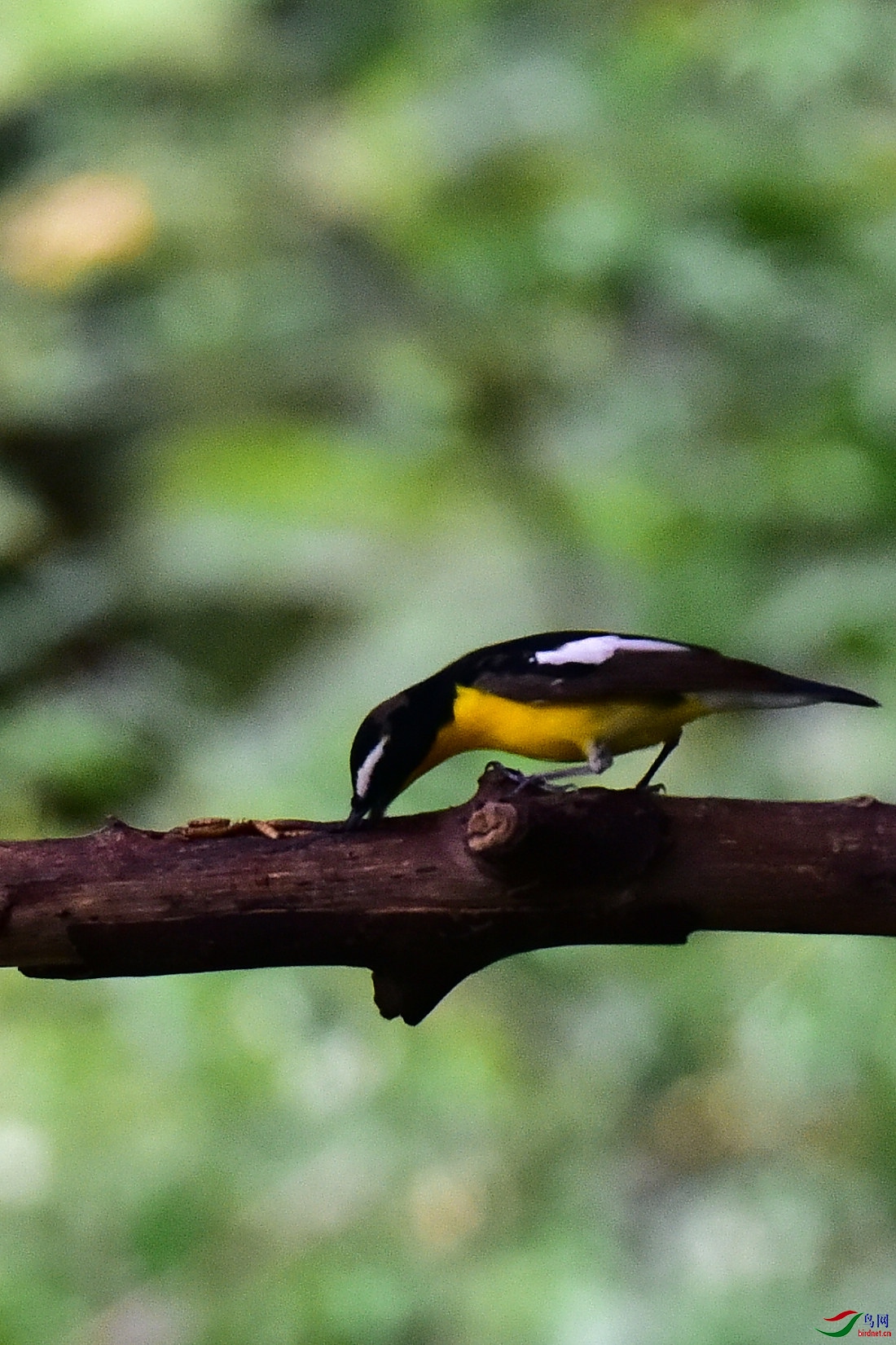 DSC_0310.JPG