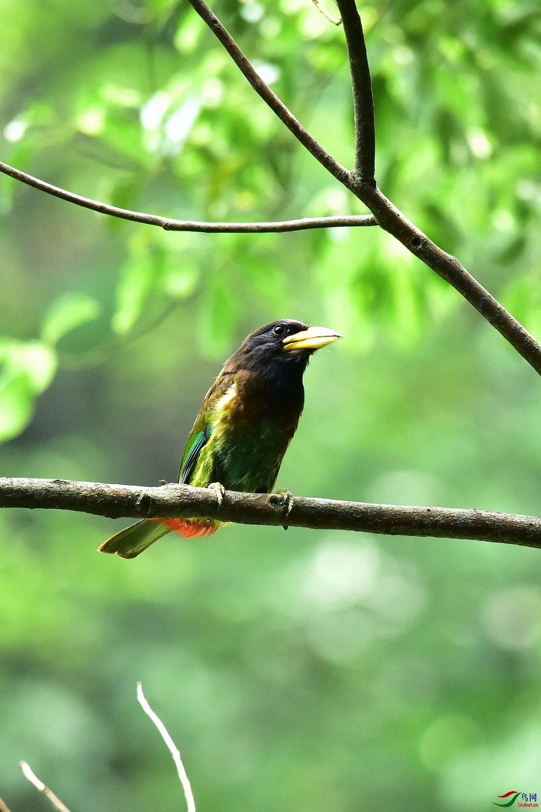 DSC_0509.JPG