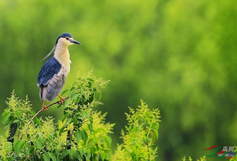 0�������0  ��ʦ�������Ĵ�ʡ������.jpg