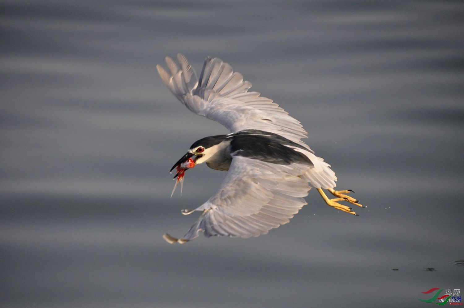 ���ʮ���� ��ʦ������ɽ��ʡ������.jpg