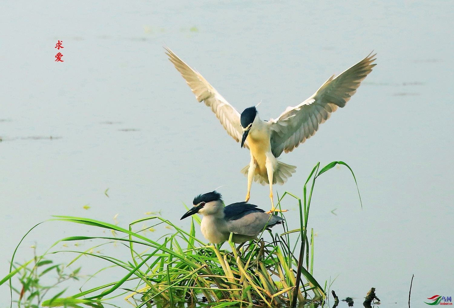 ������  ��ʦ�����ڰ���ʡ������500.jpg