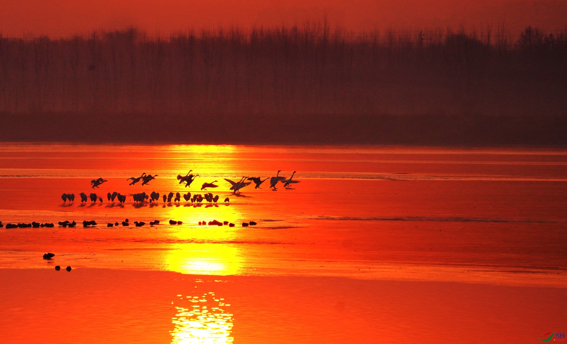 4 DSC02127_����.jpg