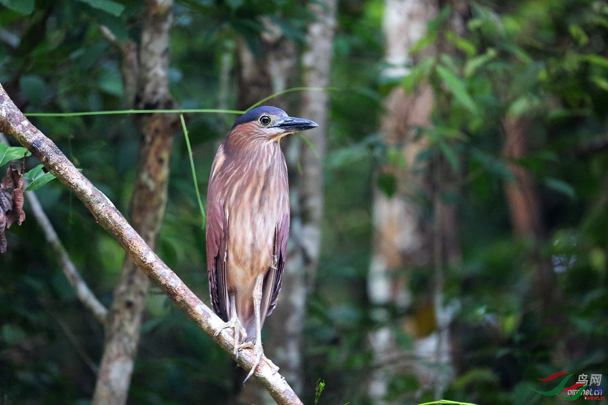 ������  ��ʦ��������������.jpg