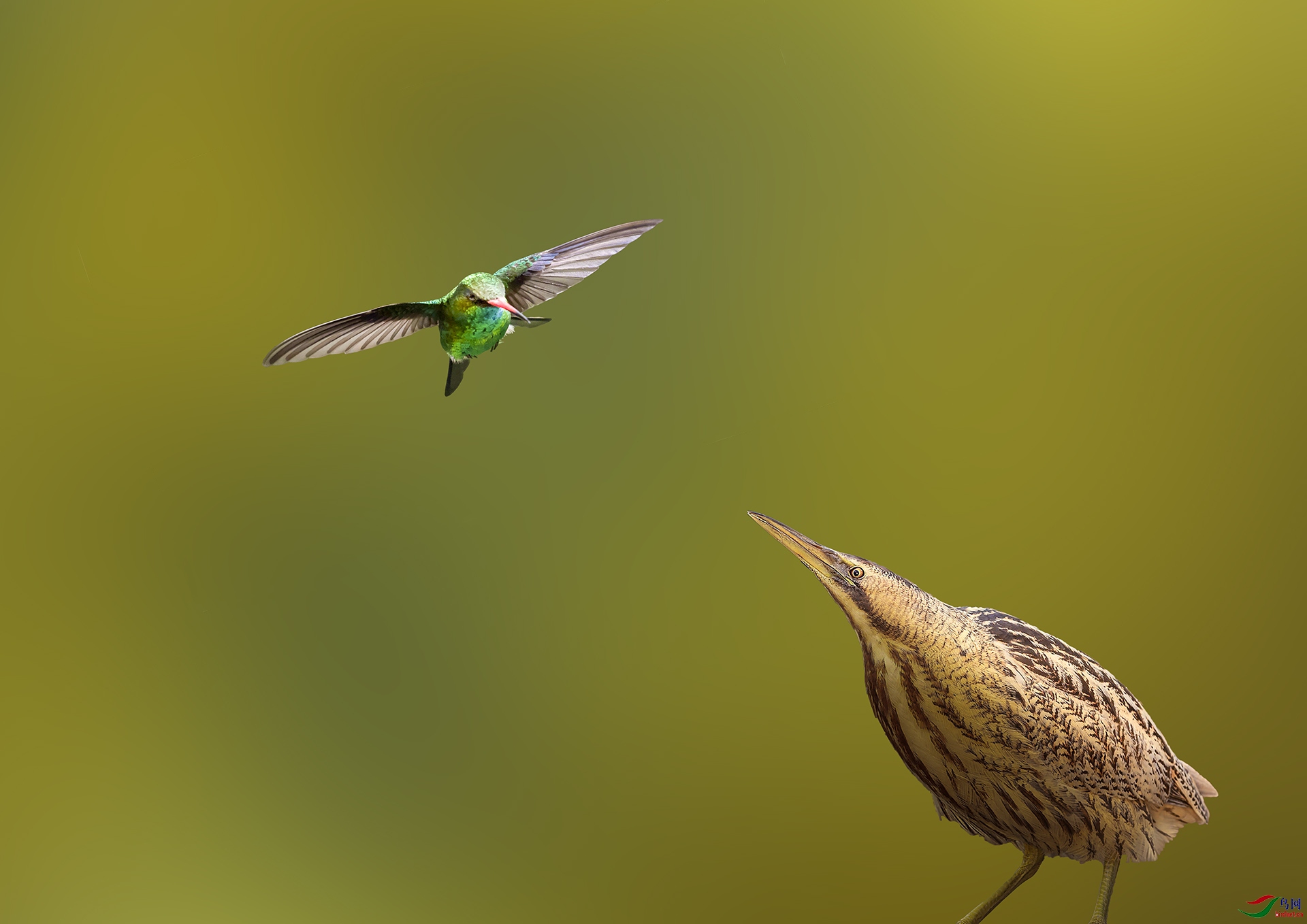 �����ż��������ͣ�� 1920x500k.jpg