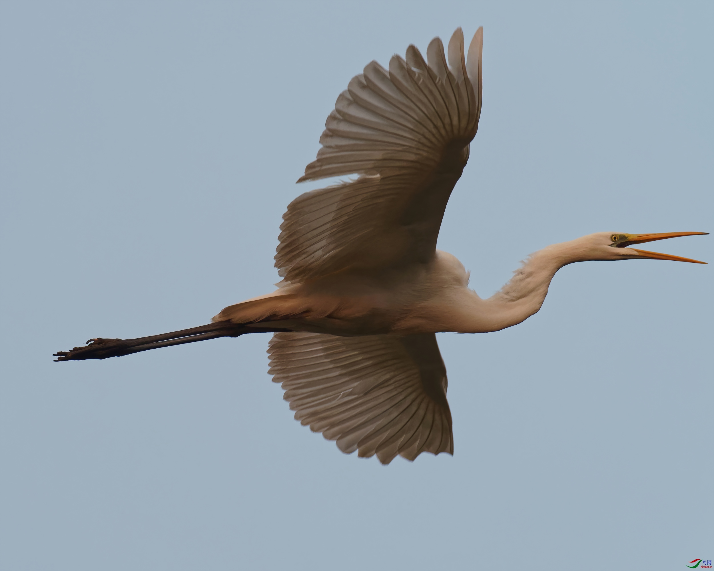 PC230220_DxO-d2.jpg