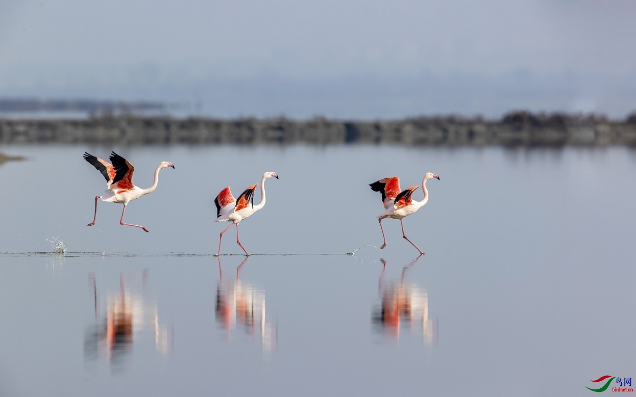 �κ��ϵ�����