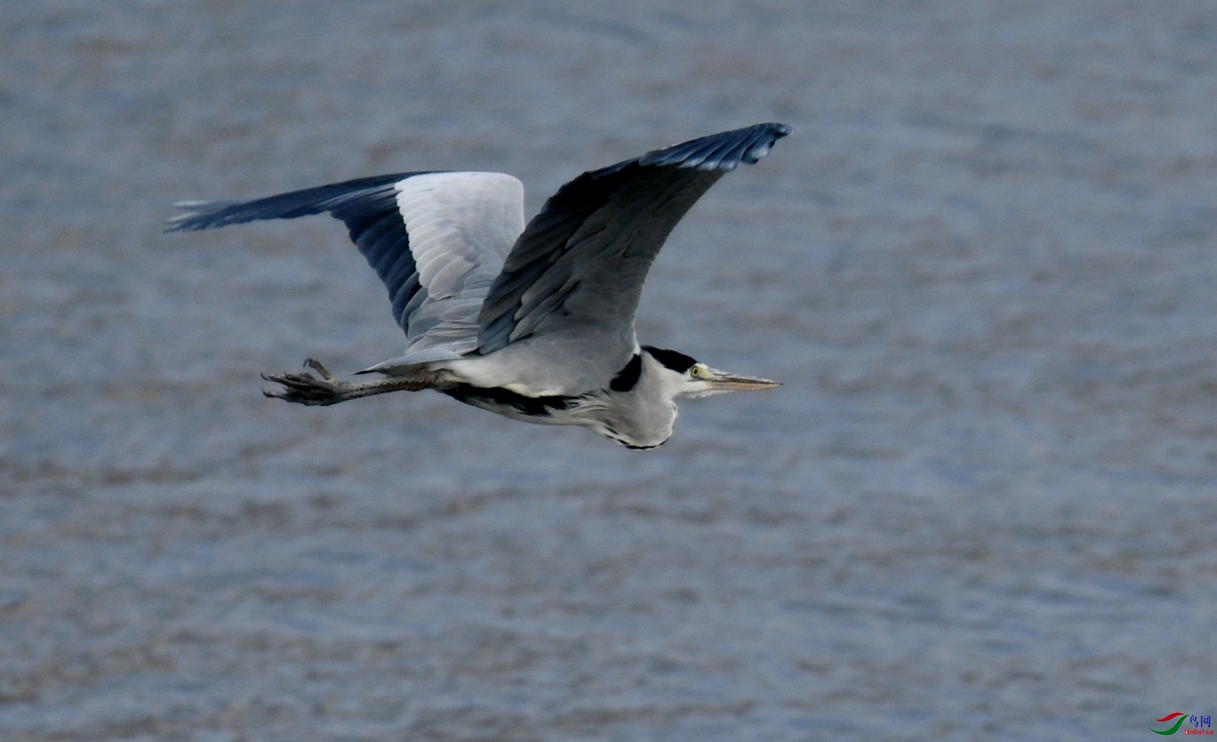 DSC_5626_����.jpg