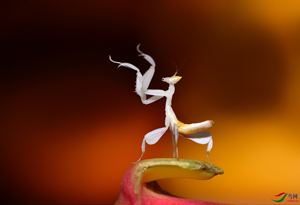 DSC_4283 ��������.jpg