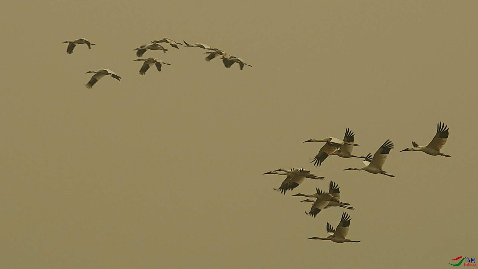 ��� - ������.00_01_10_20.Still001_����.jpg