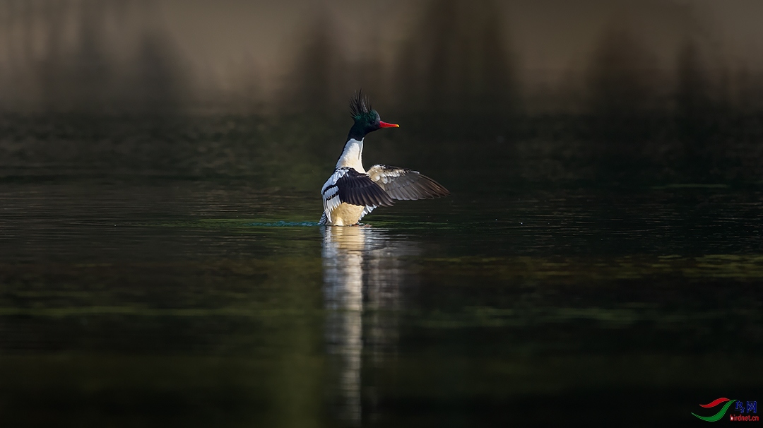 _FQ_3326-01����.jpg