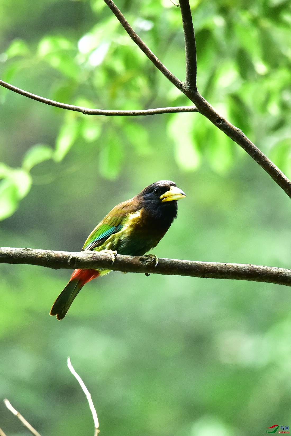 DSC_0520.JPG