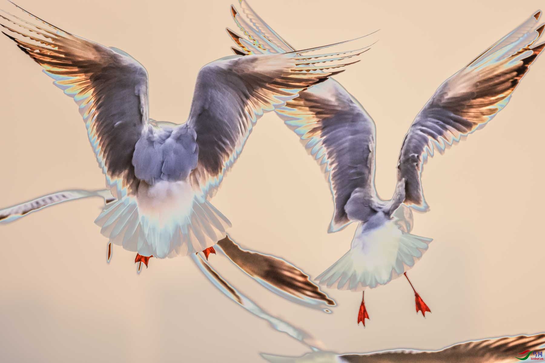 �㼡��-���캣Ÿ