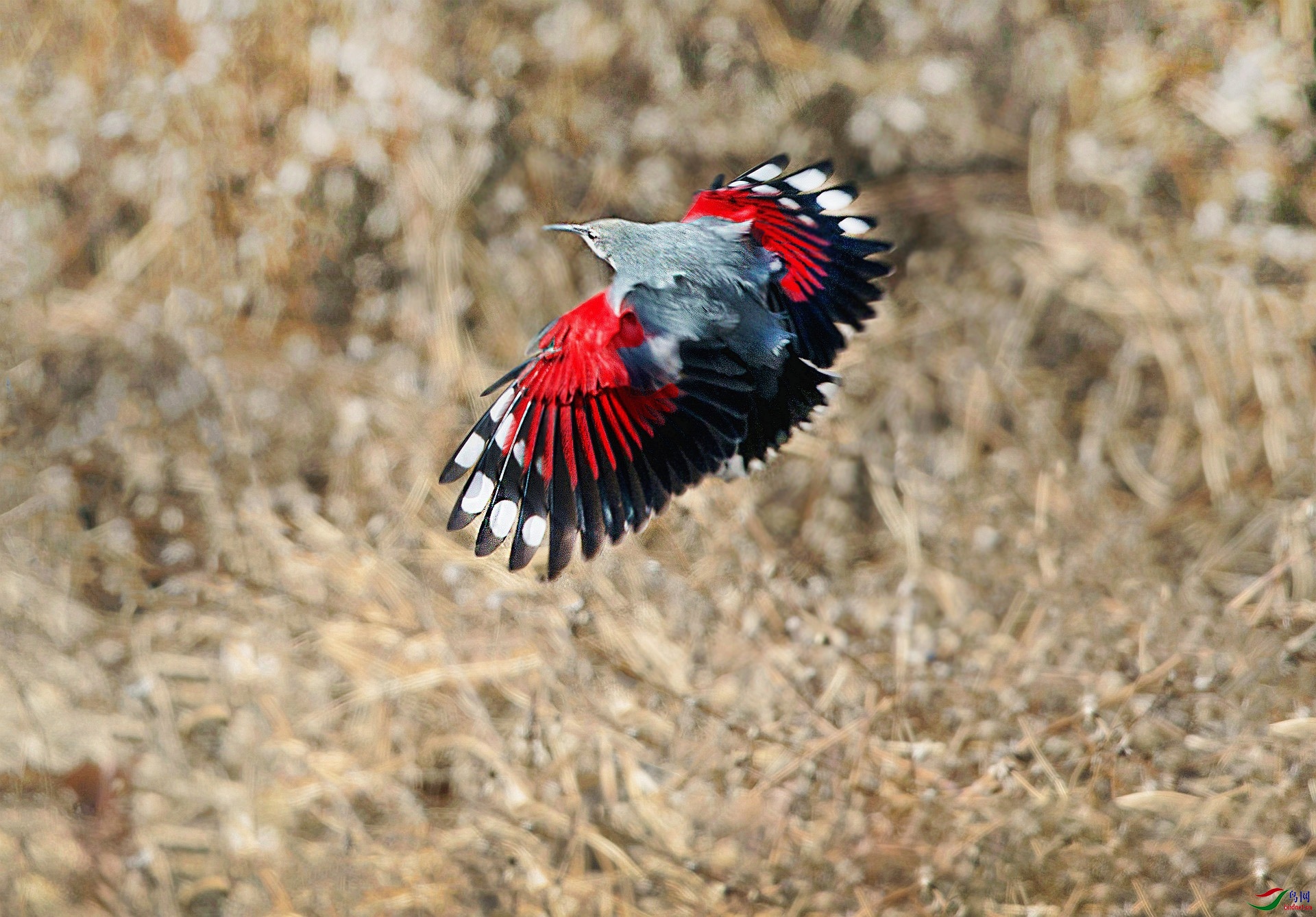 BW4Q0410 - ���� - ���� - ���� (2) - ����.jpg