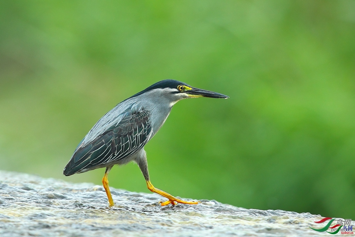 ���ã�һ�������� ��ʦ����������ʡ������ׯ����.jpg