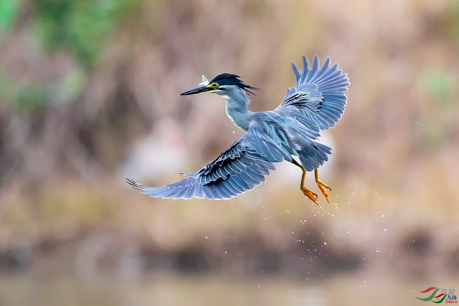 ����һ��  ��ʦ�����ڳ�����.jpg