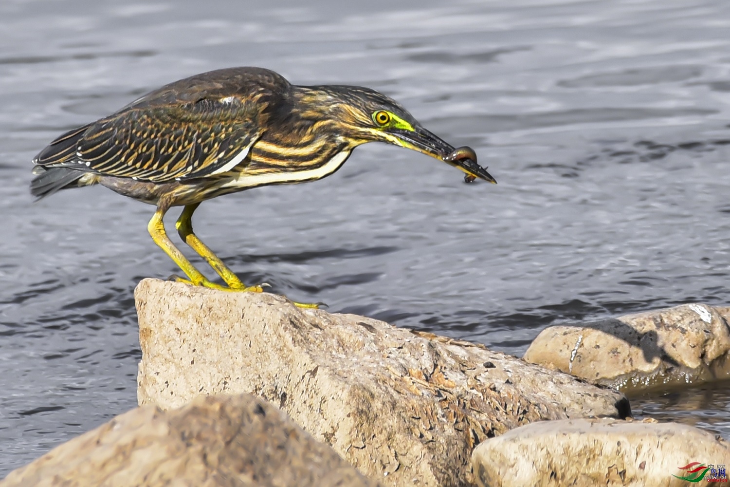 ���ϲ�  ��ʦ�����ڼ���ʡ��������̶��500.jpg