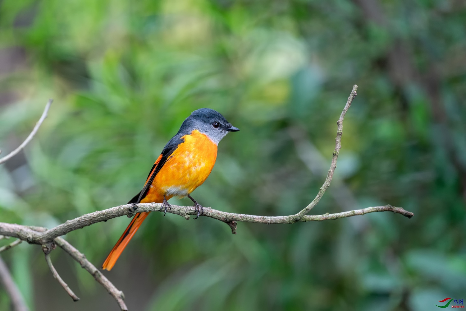 A9D02178a.jpg