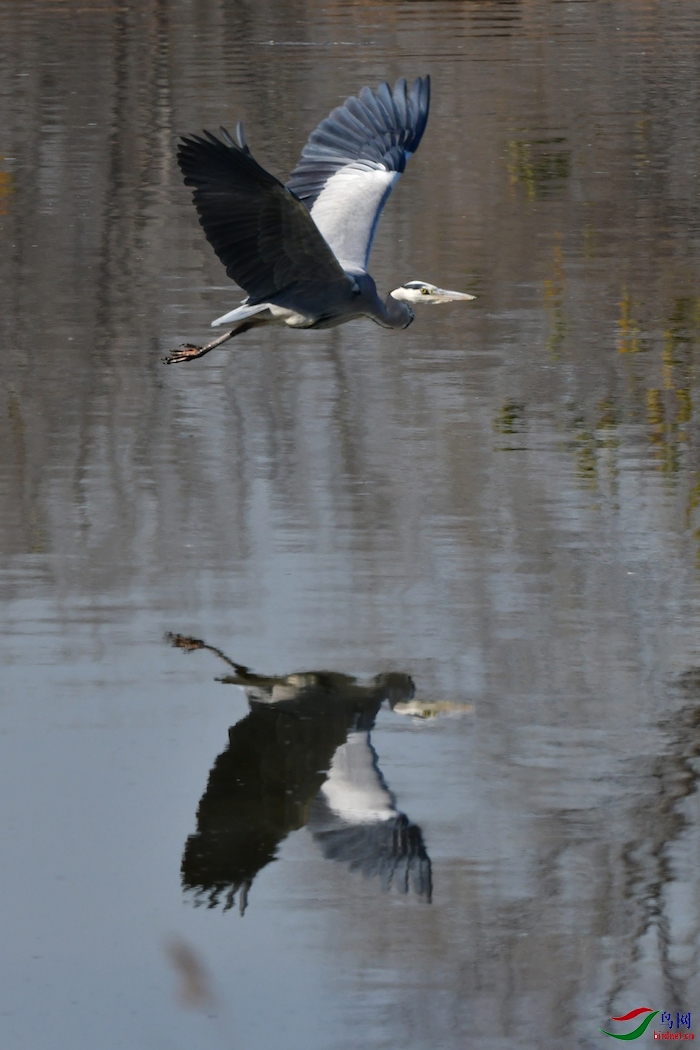 DSC_5944.jpg