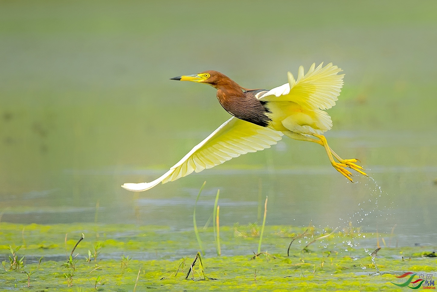 JZ����  ��ʦ����������ʡ�����й�����.jpg