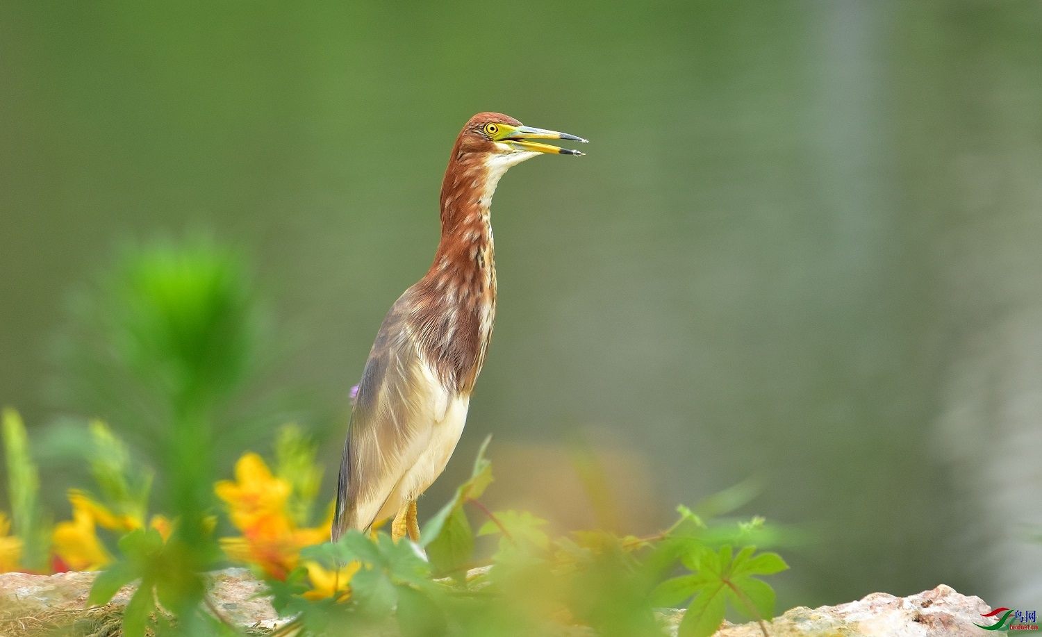 ��ͷ��69  ��ʦ�������Ĵ�ʡ�����������500.jpg