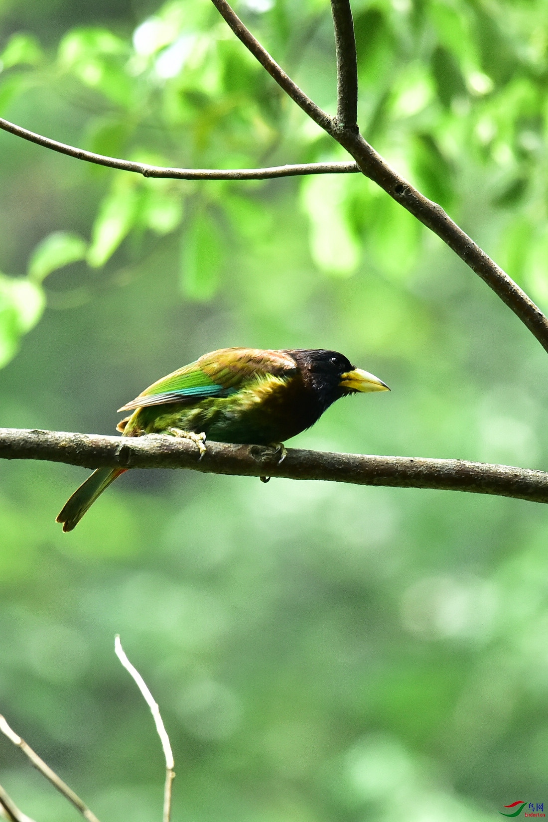 DSC_0523.JPG