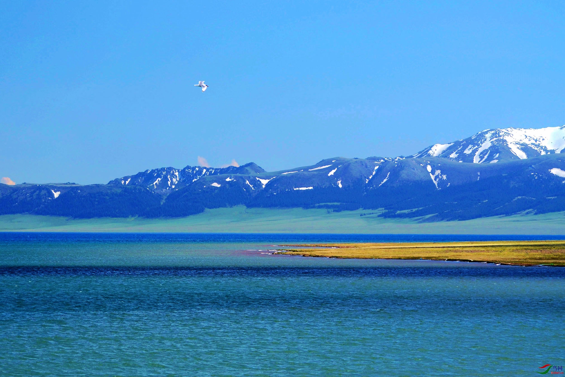 DSC_8268.JPG