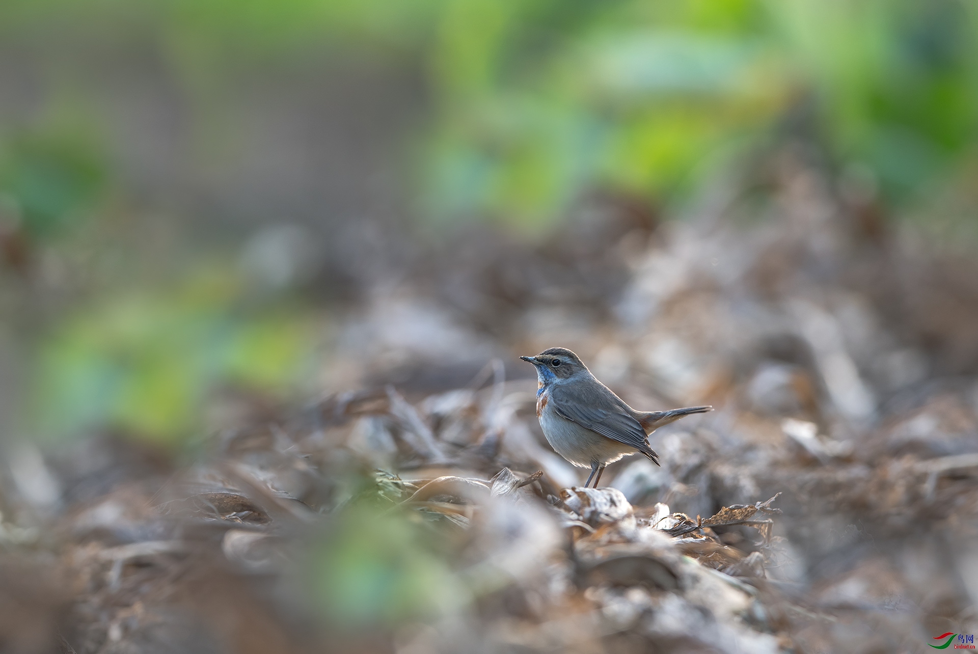 DSC_1709.jpg