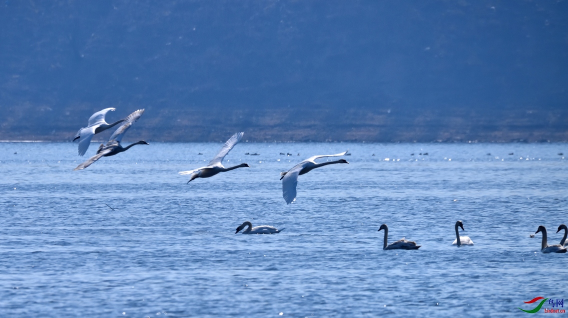 DSC_9376_00001_01-P-001-P-2.jpg