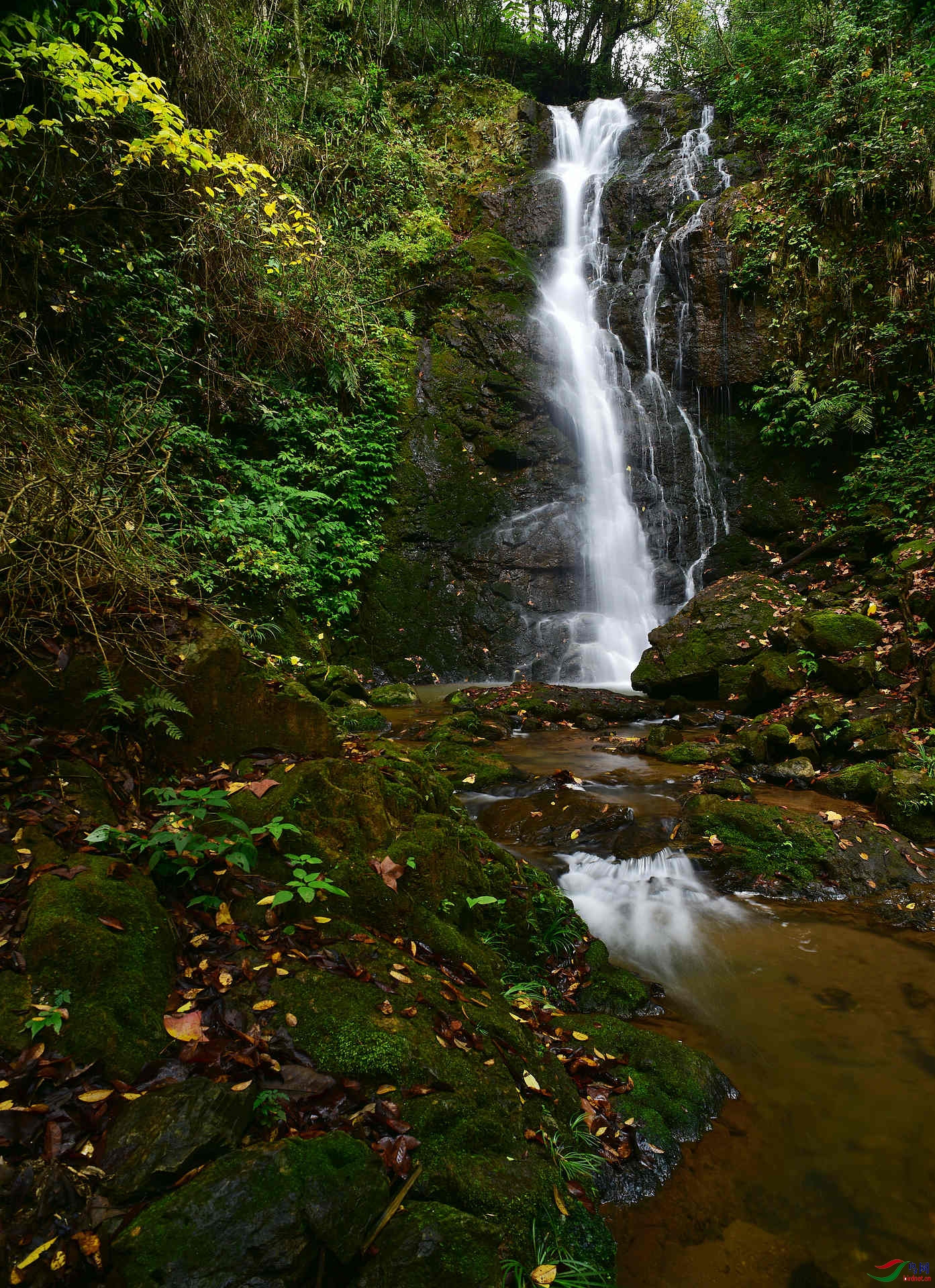 D8I_2987.jpg