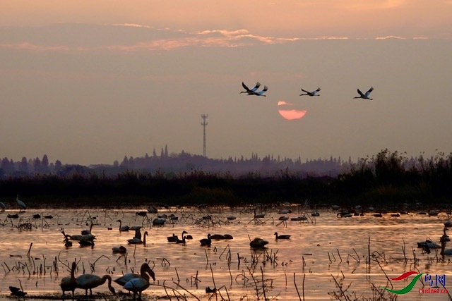 ����΢��ʮ���궬������+������԰