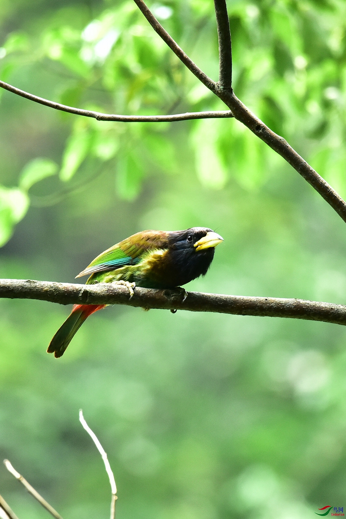 DSC_0526.JPG