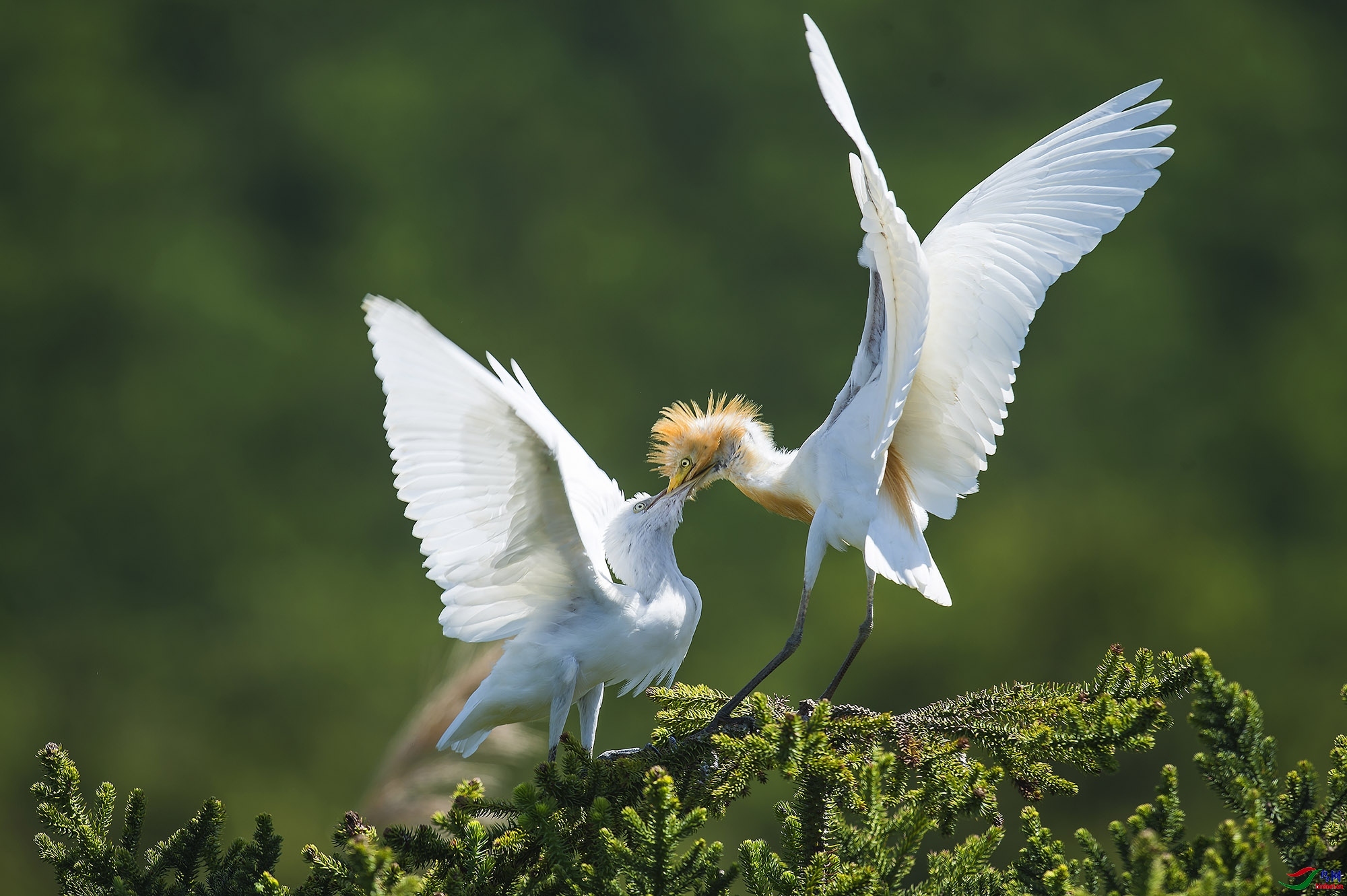 ��ɽ����  ��ʦ�����ڸ���ʡ������������.jpg