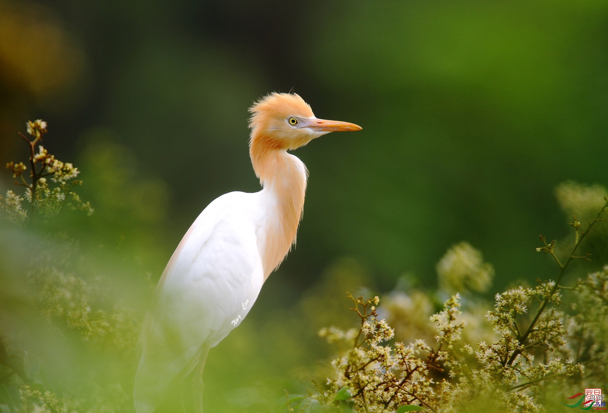 �ǲ� ��ʦ�����ڹ㶫ʡ��ͷ���ϰ���.jpg