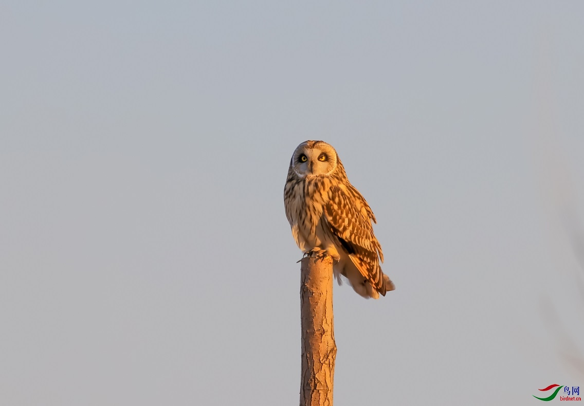 Ϧ���µĶ���