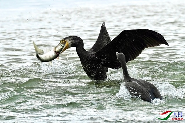 ˮ������