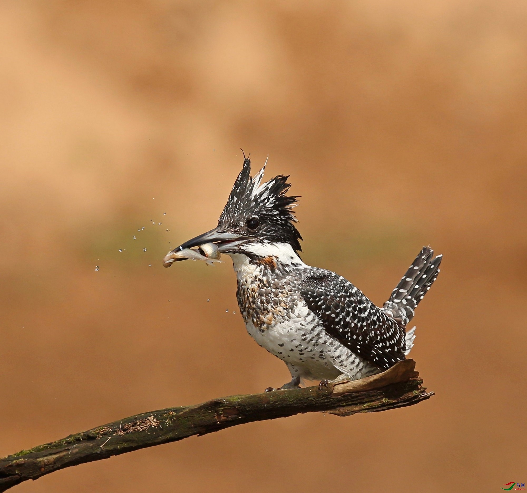 w160216����ʡ������ (312).jpg